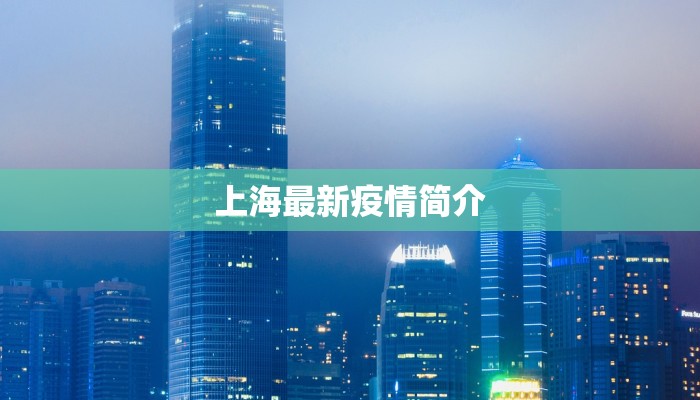 上海最新疫情简介