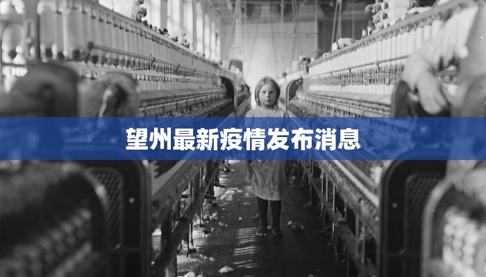 望州最新疫情发布消息