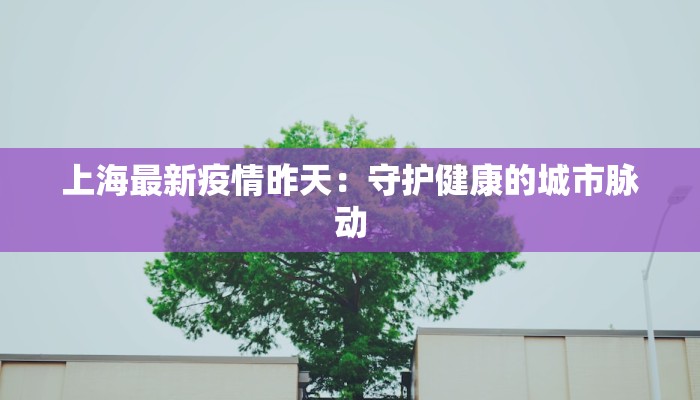 上海最新疫情昨天：守护健康的城市脉动