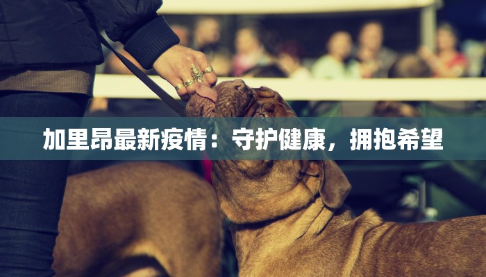加里昂最新疫情：守护健康，拥抱希望