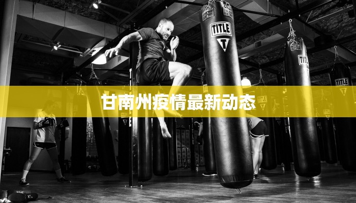 甘南州疫情最新动态