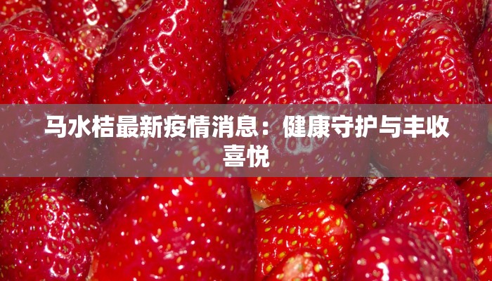 马水桔最新疫情消息：健康守护与丰收喜悦