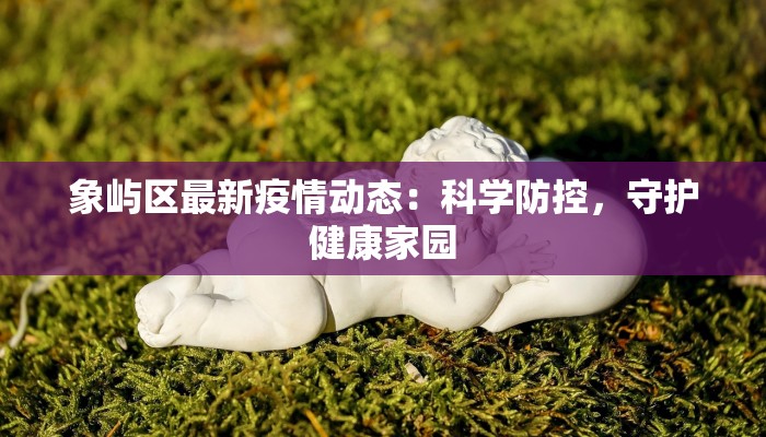 象屿区最新疫情动态：科学防控，守护健康家园