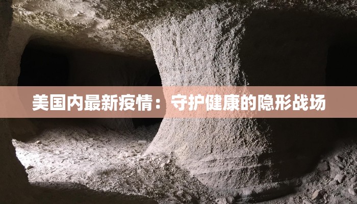 美国内最新疫情：守护健康的隐形战场