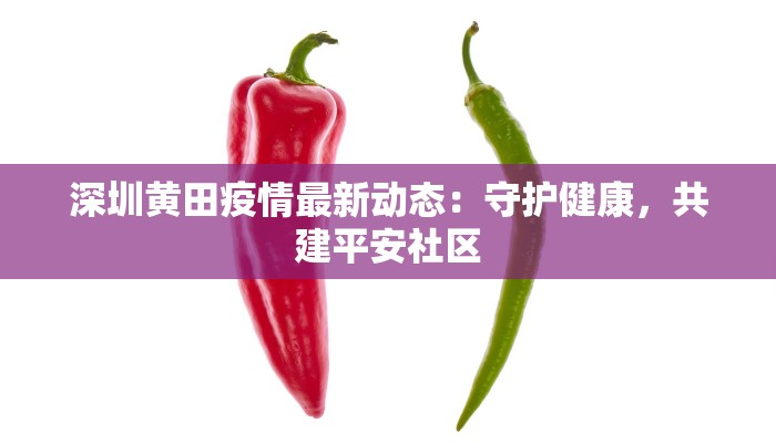 深圳黄田疫情最新动态：守护健康，共建平安社区
