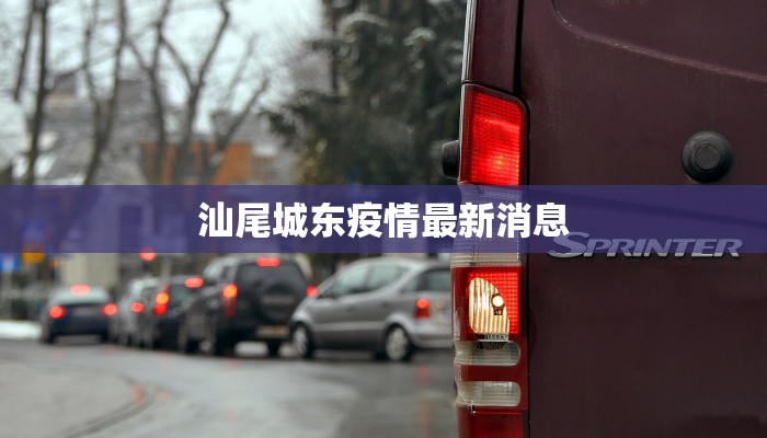 汕尾城东疫情最新消息