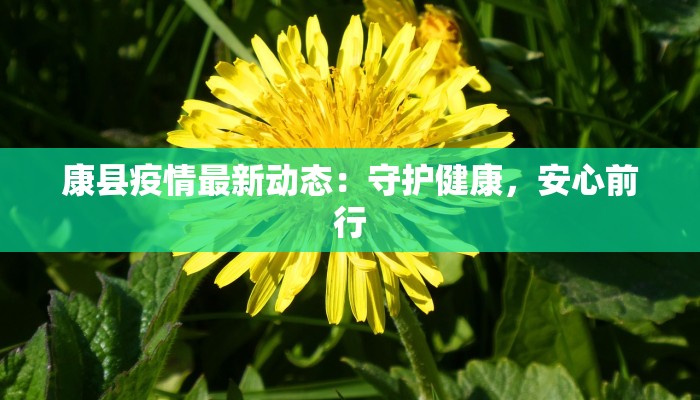 周至阎良最新疫情：科学防控，共筑健康防线