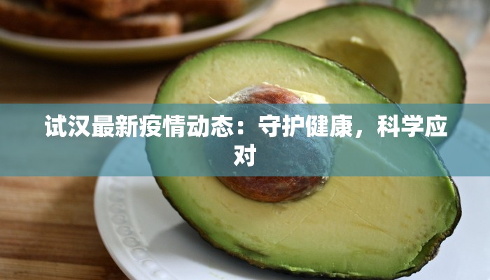 试汉最新疫情动态：守护健康，科学应对