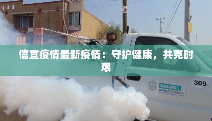 信宜疫情最新疫情：守护健康，共克时艰