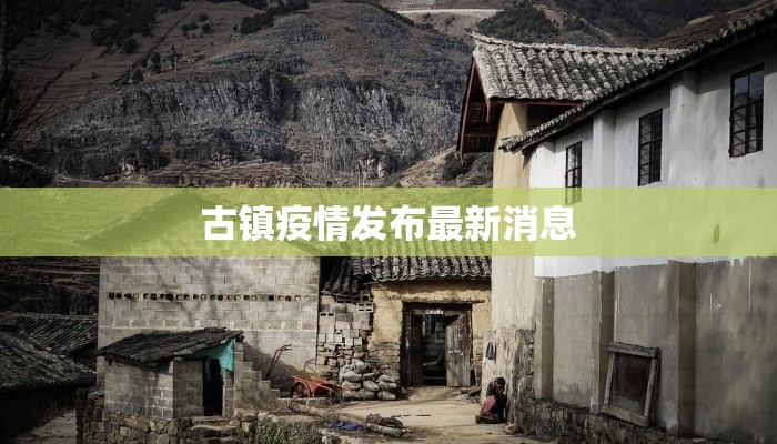 疫情最新浙江绍兴：守护家园，迎来曙光