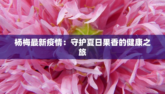 韩联社最新疫情：守护健康的智慧之钥