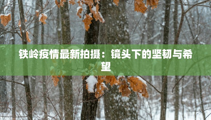 铁岭疫情最新拍摄：镜头下的坚韧与希望