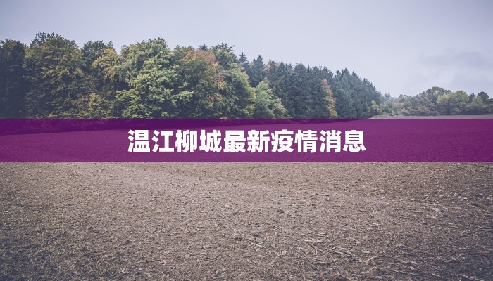 果敢老街最新疫情数据：守护家园的温暖力量