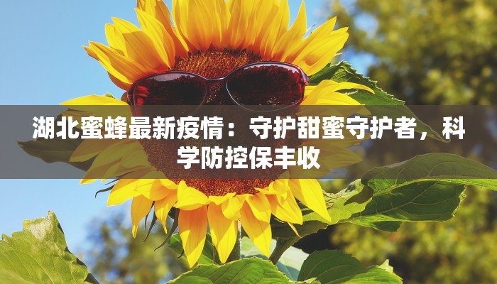 南美洲疫情最新报告