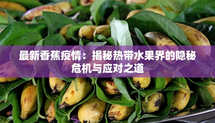 最新香蕉疫情：揭秘热带水果界的隐秘危机与应对之道