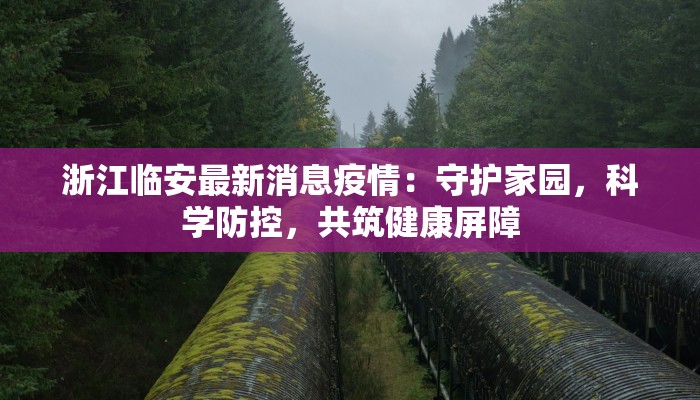 宜山镇最新疫情：守护家园，科学防控，共筑健康防线