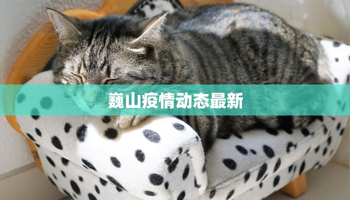 巍山疫情动态最新