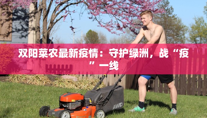 双阳菜农最新疫情：守护绿洲，战“疫”一线