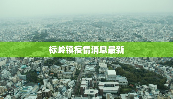 下雪最新疫情通知