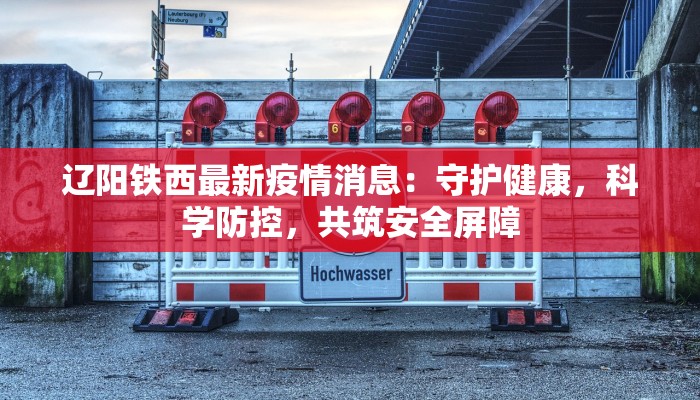 辽阳铁西最新疫情消息：守护健康，科学防控，共筑安全屏障