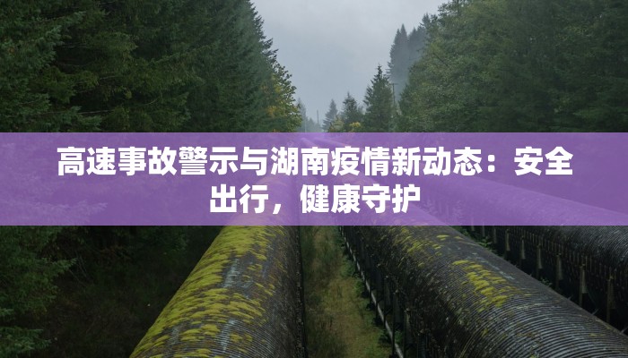 高速事故警示与湖南疫情新动态：安全出行，健康守护