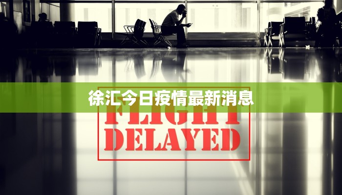 新安集镇最新疫情情况