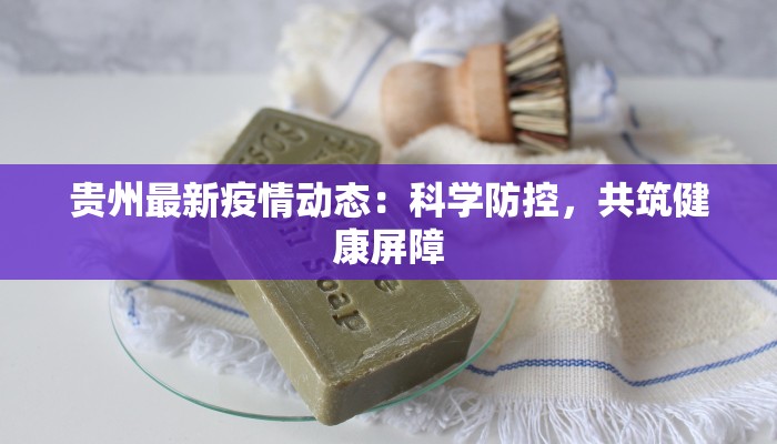 贵州最新疫情动态:科学防控,共筑健康屏障
