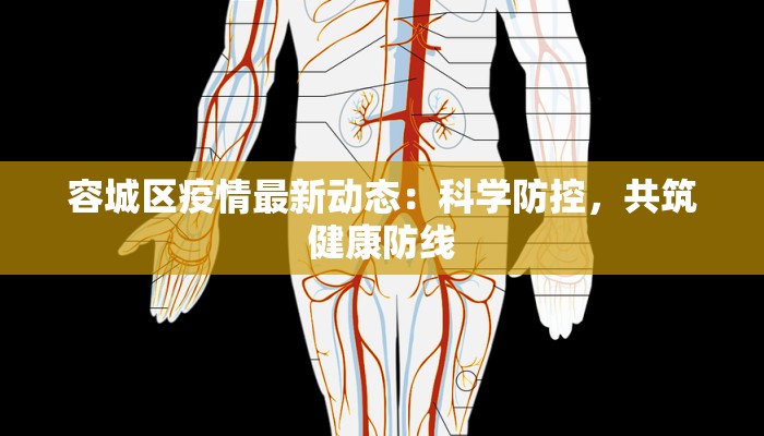 容城区疫情最新动态:科学防控,共筑健康防线