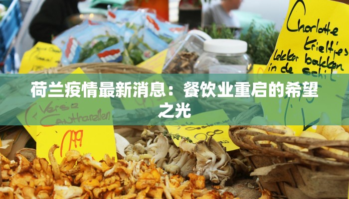 双龙三和村疫情最新：守护家园，科学防控，共克时艰