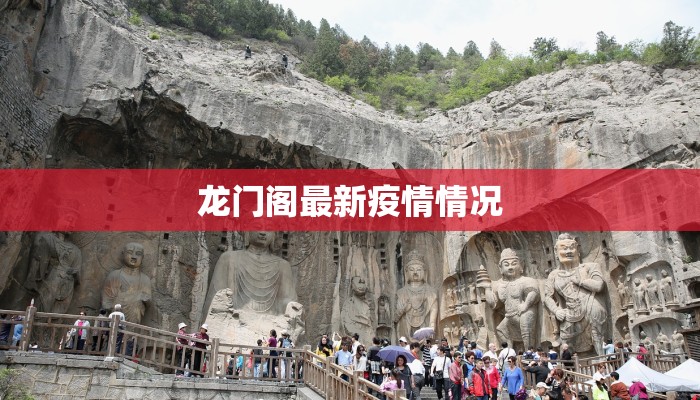 龙门阁最新疫情情况