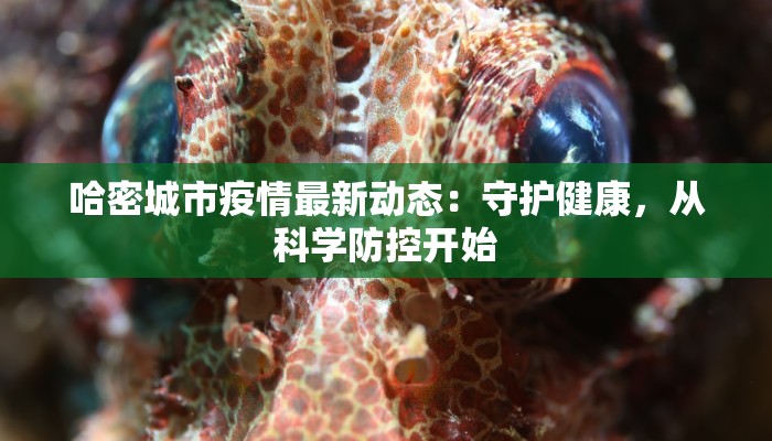 最新修武县疫情分布