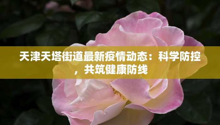 不西安市最新疫情：安心重启，美好生活正当时