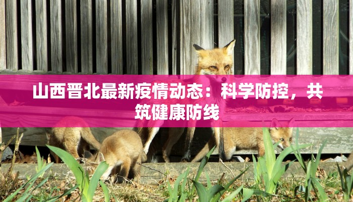 山西晋北最新疫情动态：科学防控，共筑健康防线