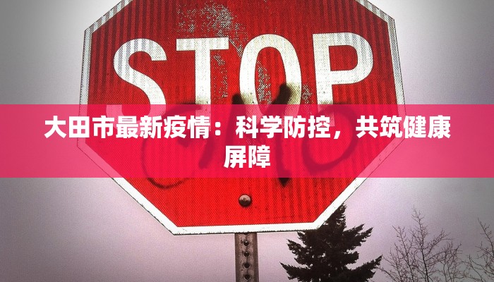大田市最新疫情:科学防控,共筑健康屏障