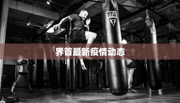 界首最新疫情动态