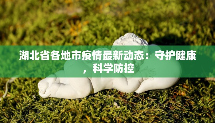 刚果疫情最新公告