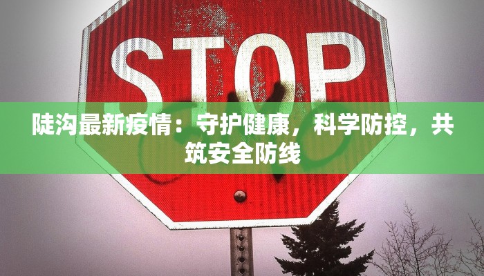 陡沟最新疫情：守护健康，科学防控，共筑安全防线