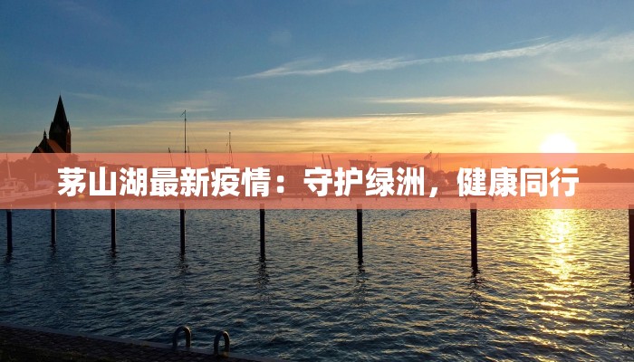 茅山湖最新疫情：守护绿洲，健康同行