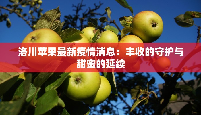 洛川苹果最新疫情消息:丰收的守护与甜蜜的延续