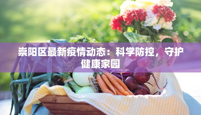 崇阳区最新疫情动态：科学防控，守护健康家园