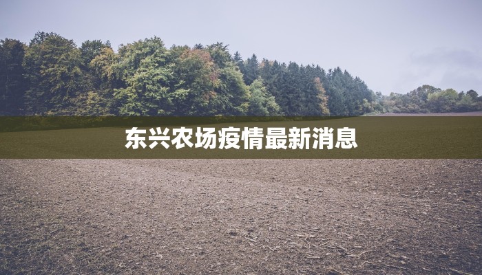 石狮疫情标题最新：守护家园，科学防控，共克时艰