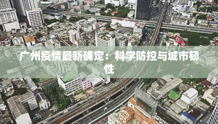 湛江海康最新疫情：守护健康，拥抱美好生活