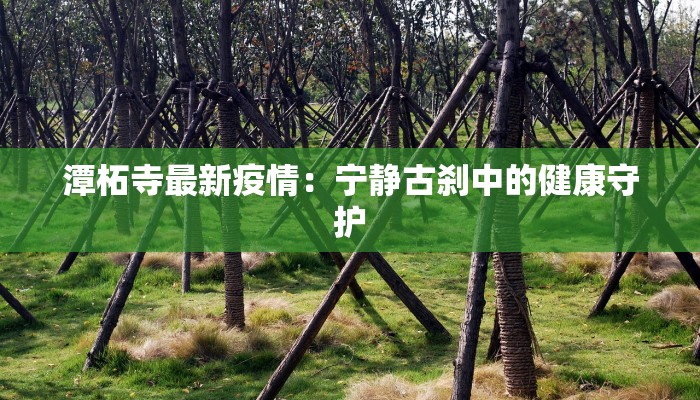 海牙最新疫情发布