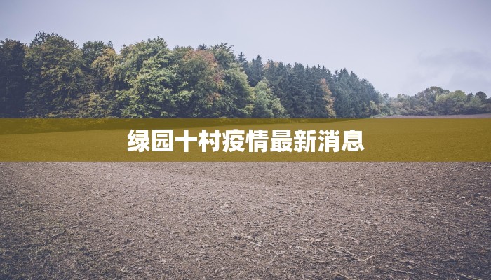 沈阳最新疫情外卖指南：安全美味触手可及