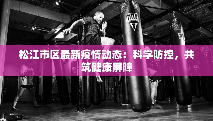 疫情实时最新丹麦：守护健康之旅的实时指南