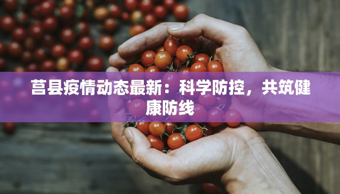 崇明岛昨天的疫情小记：健康守护与美好生活