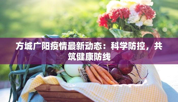 江西金溪最新疫情报告