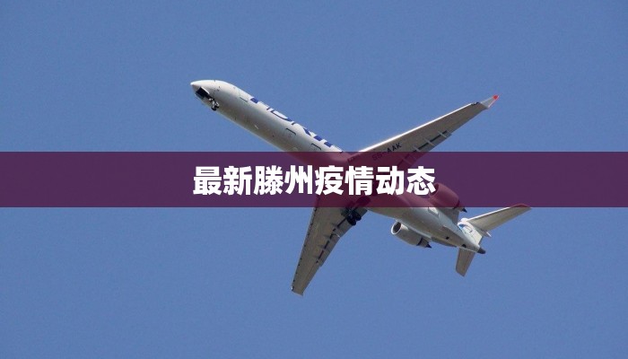 最新疫情莒县解封：重启美好生活，拥抱无限可能