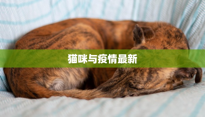 杭州西城疫情最新情况