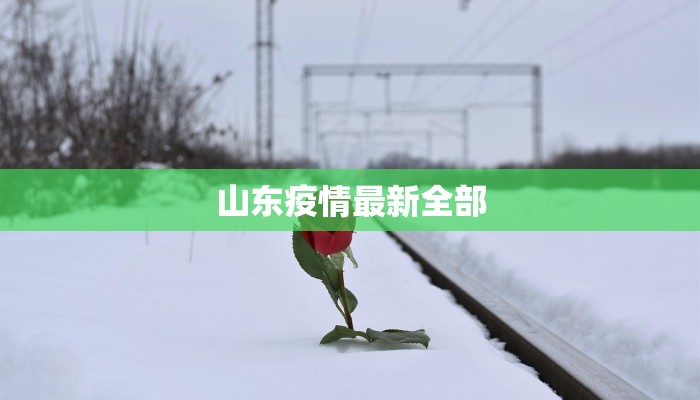 山东疫情最新全部
